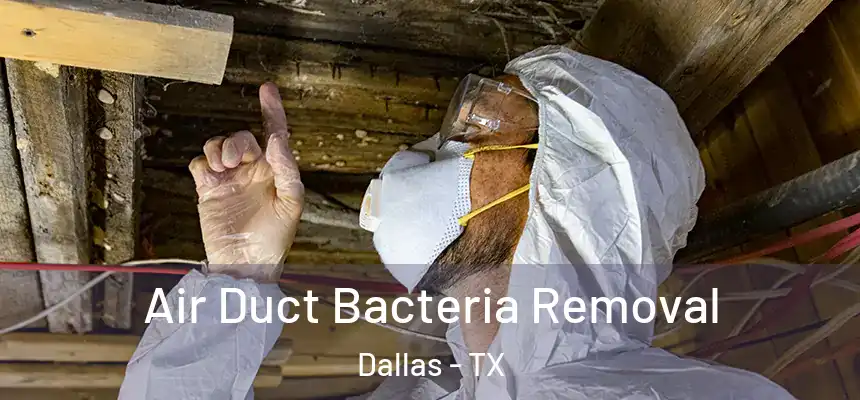Air Duct Bacteria Removal Dallas - TX