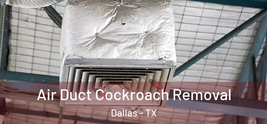 Air Duct Cockroach Removal Dallas - TX