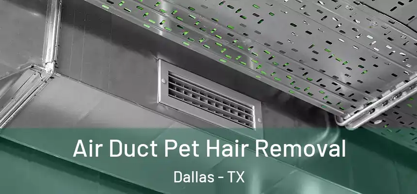 Air Duct Pet Hair Removal Dallas - TX
