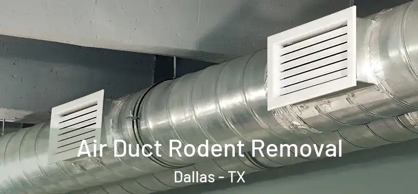 Air Duct Rodent Removal Dallas - TX