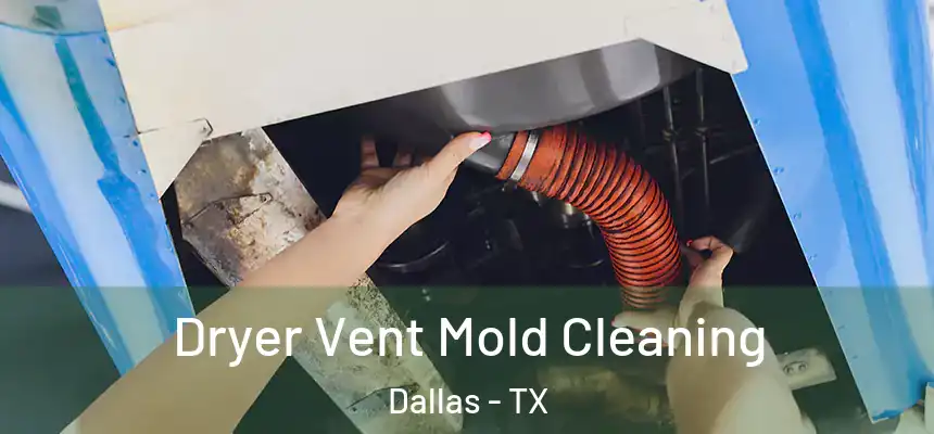 Dryer Vent Mold Cleaning Dallas - TX