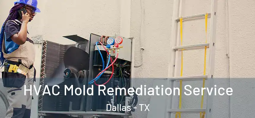 HVAC Mold Remediation Service Dallas - TX