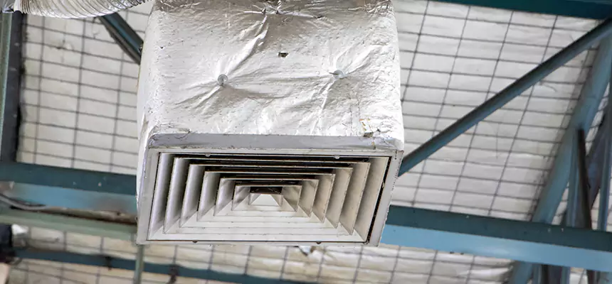Our HVAC Mold Remediation Service Services in Dallas, TX