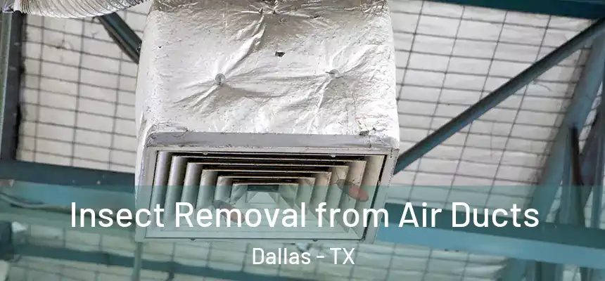 Insect Removal from Air Ducts Dallas - TX