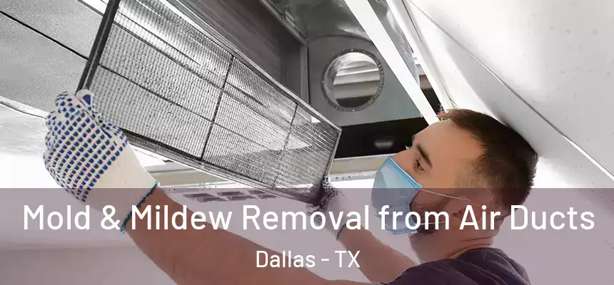 Mold & Mildew Removal from Air Ducts Dallas - TX
