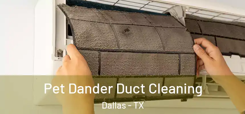 Pet Dander Duct Cleaning Dallas - TX