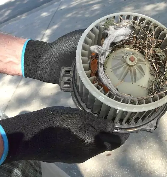 About Air Duct Mice Removal in Dallas, TX
