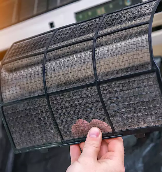 About Pet Dander Duct Cleaning in Dallas, TX